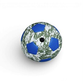 Voetbal - Kleine Mini Bal - Maat 2 - 160g - kan je heerlijk buiten plezier hebben 2026