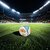 Voetbal - Bal - Maat 5 - Voetbal Official Size & Weight - 96 bal - wedstrijdbal 380g GO