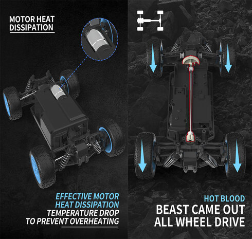 RTR 4x4 radiografisch auto Rally 25km/u 