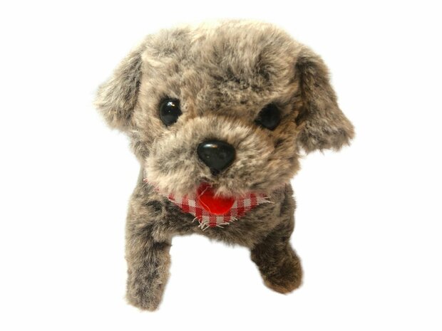 Cute Little Puppy schattig speelgoed Istarski ostrodlaki gonic hondje blaft en loopt 19CM