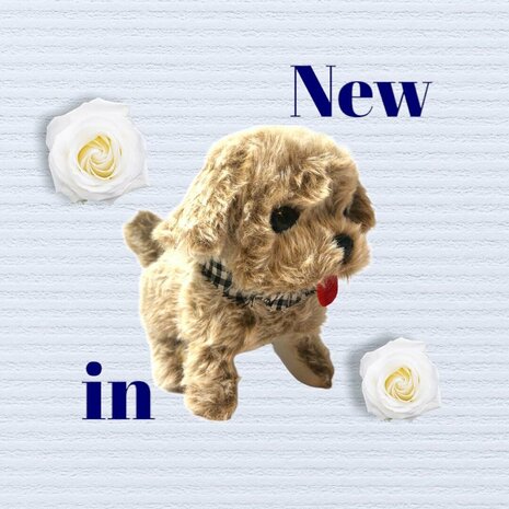 Cute Little Puppy cute toy Istarski ostrodlaki gonic dog barks and walks 19CM