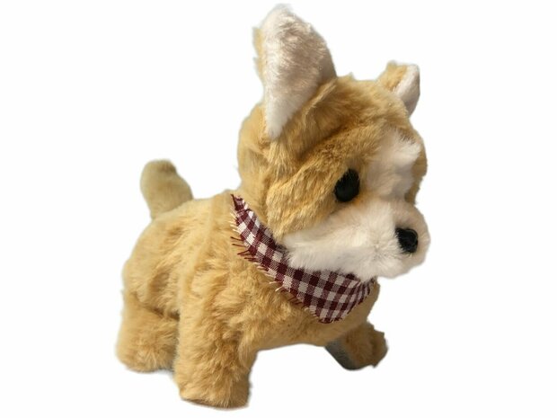 Cute Little Puppy cute toy Labrador dog barks and walks 19CM Cute little puppy can cute bark at you with his sweet face and also walk. Playing with your cute little dog is super fun. Take care of him like a real puppy and he w