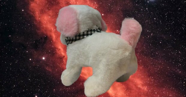 Cute Little Puppy mignon Bichon Frise jouet chien aboie et marche 19CM