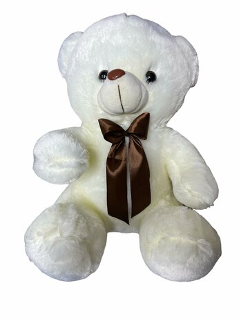 Schattig  teddybeer - lintje - zacht knuffel beer 45CM