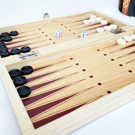  Schaakspel - damspel - backgammon Magnetisch speelbord - set 3in1 - opvouwbaar - 29CM