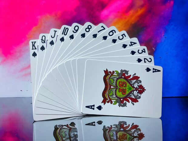 Playing card - 100% plastic - HQ quality - waterproof - Domino print