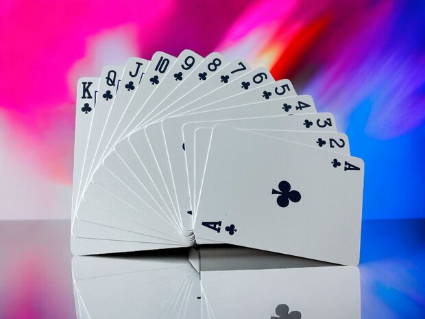 Spielkarte &ndash; 100 % Kunststoff &ndash; HQ-Qualit&auml;t &ndash; wasserfest &ndash; Ace King-Aufdruck