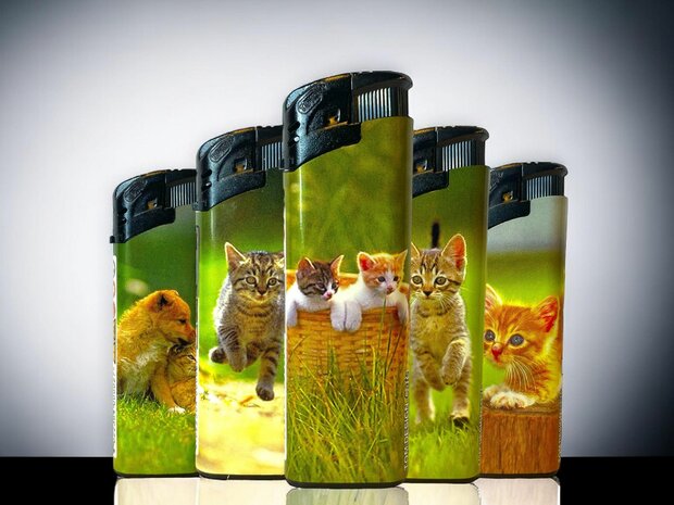 Lighters - 50 pieces in tray - cat print - refillable and click - Tom lighter