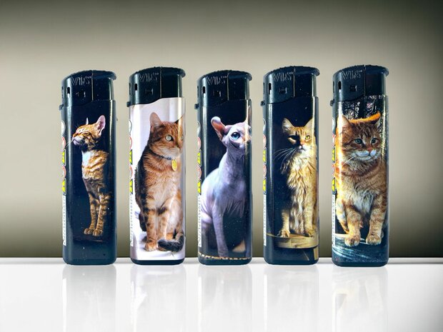 Lighters - 50 pieces in tray - cat print - refillable and click - Tom lighter