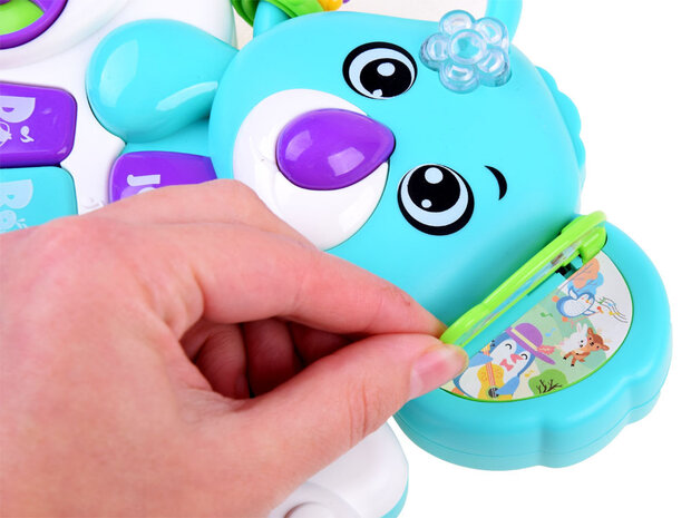 Koala Instrument - Oplichtende Koala Piano 18+ m