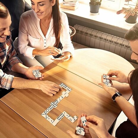 Longfield Games Domino Dubbel 6 Groot In Kist