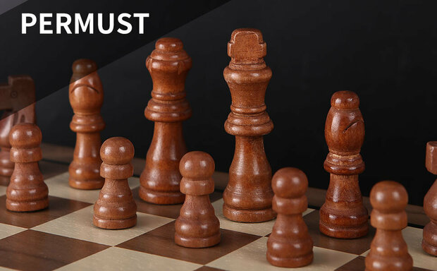 Schaak en Dambord - Luxe Magnetische Speelbord - 39cm Inklapbare 2-in-1 Houten schaak Set