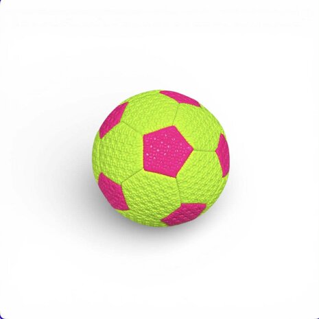 Voetbal - Kleine Mini Bal - Maat 2 - 160g - kan je heerlijk buiten plezier hebben! Gooi, rol of schop
