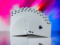 Playing card - 100% plastic - HQ quality - waterproof - Domino print