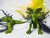 Verwandlungsspielzeug Optimus Prime – Dinosaurier-Deformations-Dino und Roboter – 2 in 1
