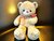 Teddybeer - i Love you - 75CM - zachte knuffelbeer met roos - teddybeer