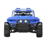 RTR 4x4 radiografisch auto Rally 25km/u 