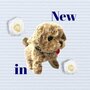 Cute Little Puppy schattig speelgoed Istarski ostrodlaki gonic hondje blaft en loopt 19CM