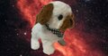 Cute Little Puppy schattig speelgoed Bichon frisé hondje blaft en loopt 19CM
